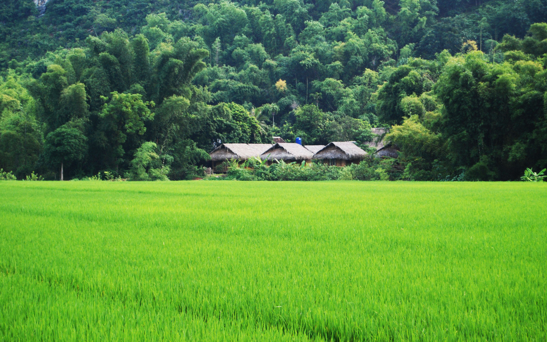 Accommodation in Mai Chau