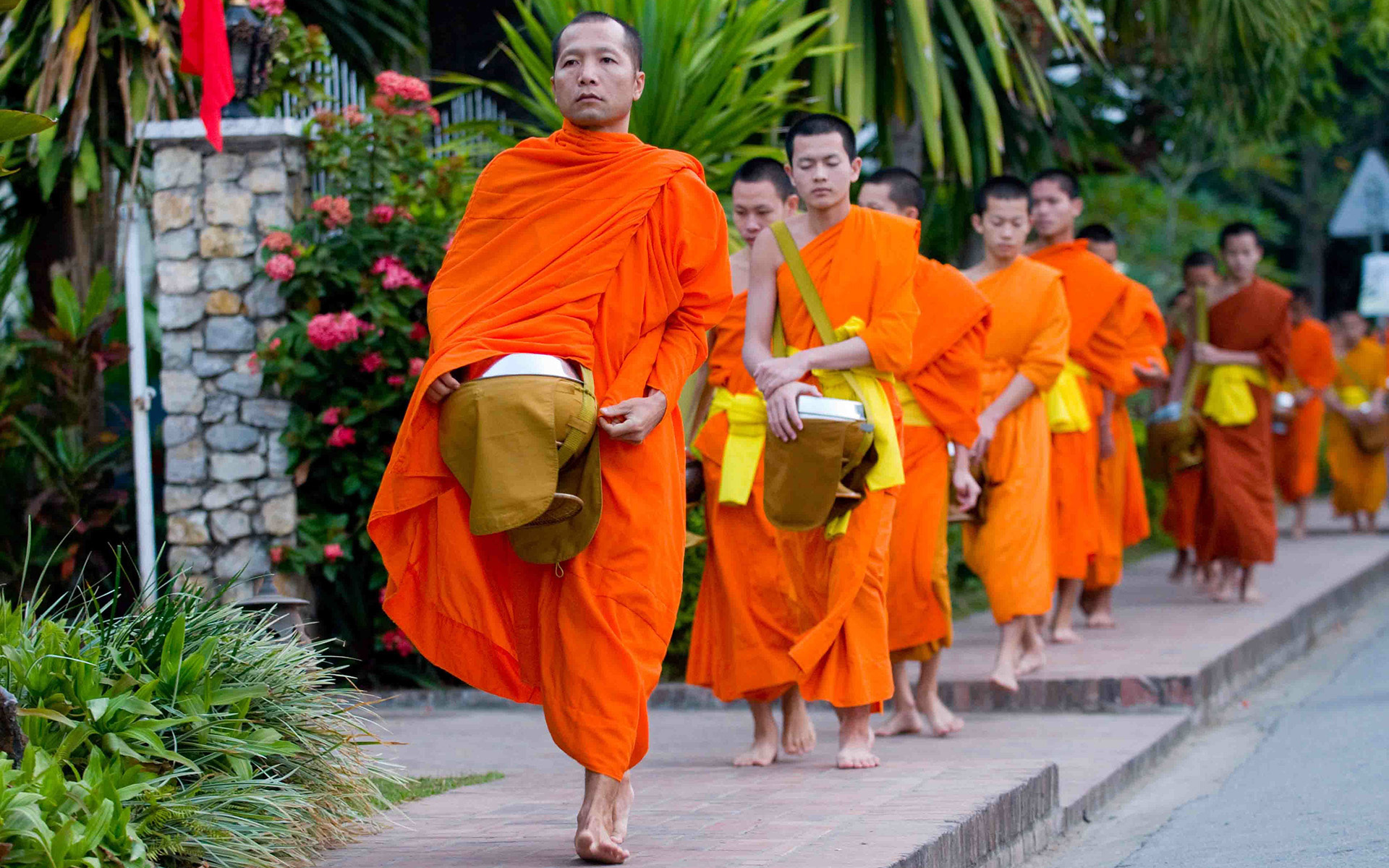 Almsgiving Ceremony in Luang Prabang, Laos