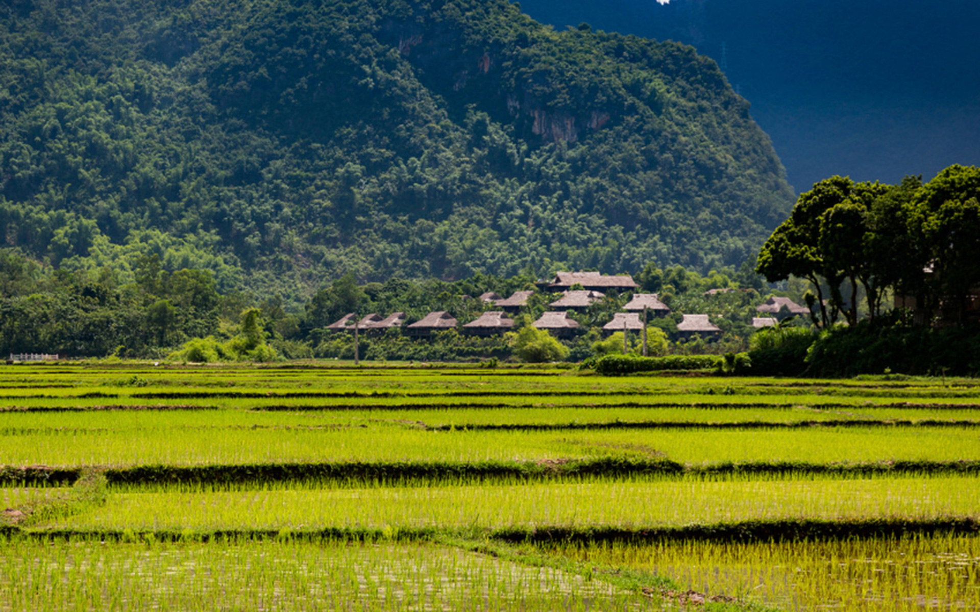 Mai Chau Ecolodge