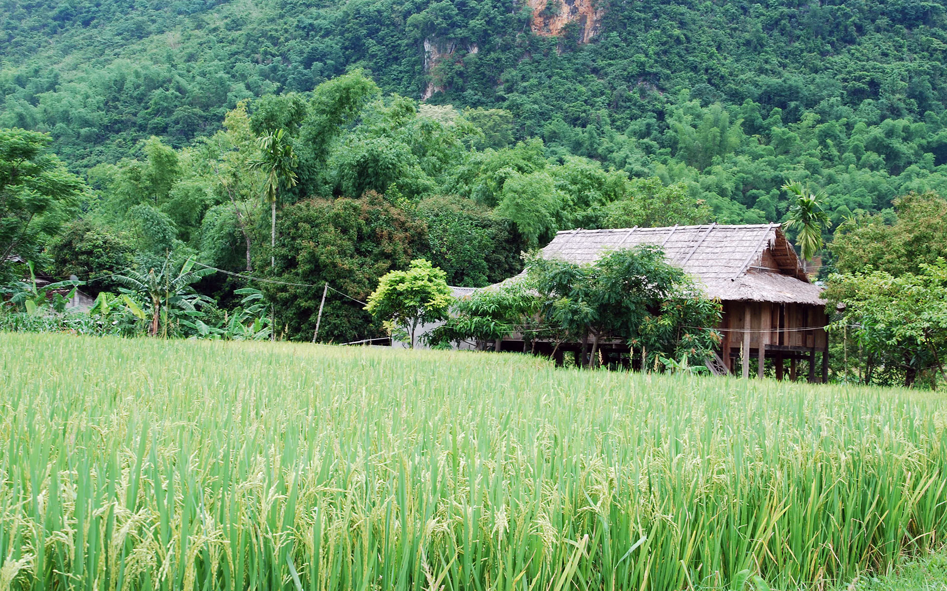 Traditional stilt house in Mai Chau
