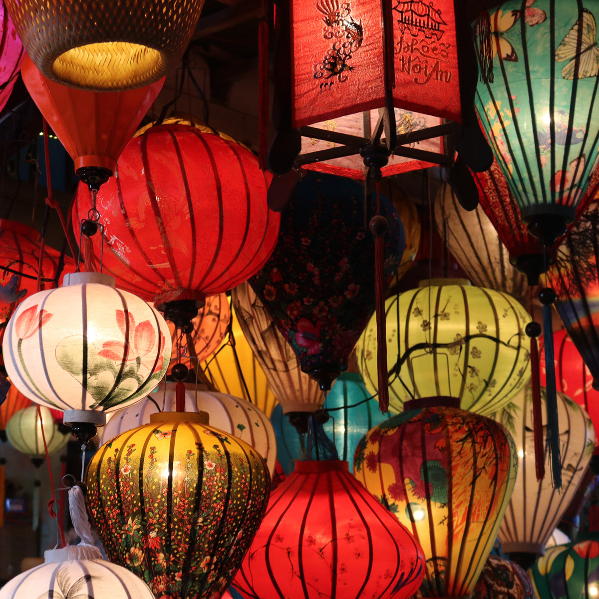 Erica and Bronte's 22 visits to Vietnam, capturing unforgettable travel moments.