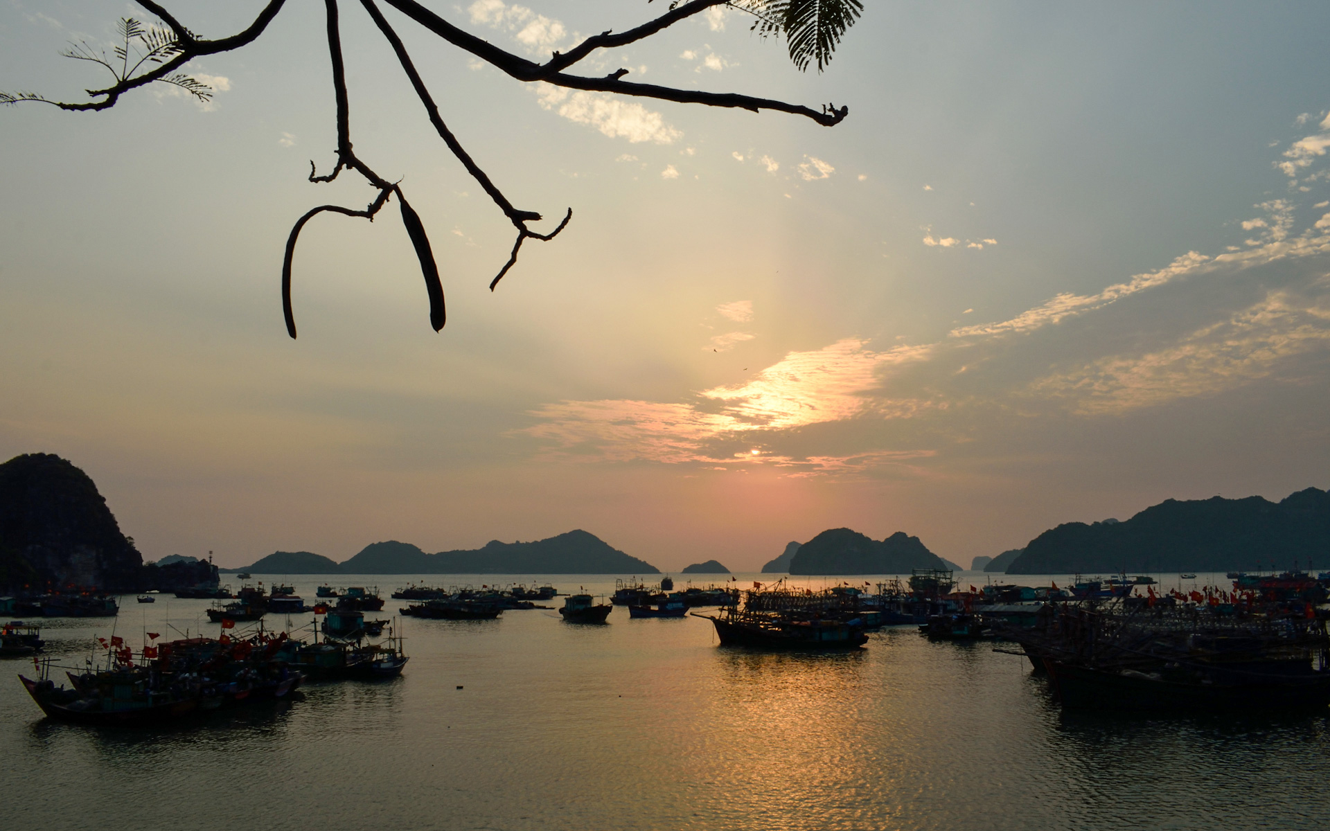 Cat Ba bay at sunset