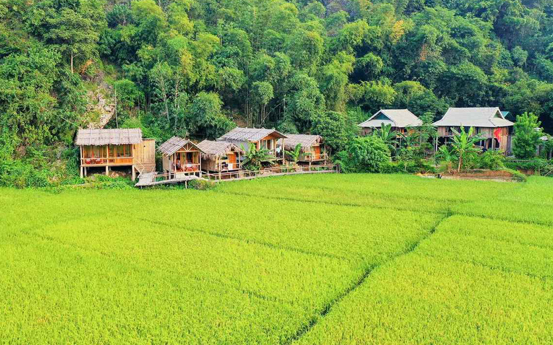 Little Mai Chau Homestay
