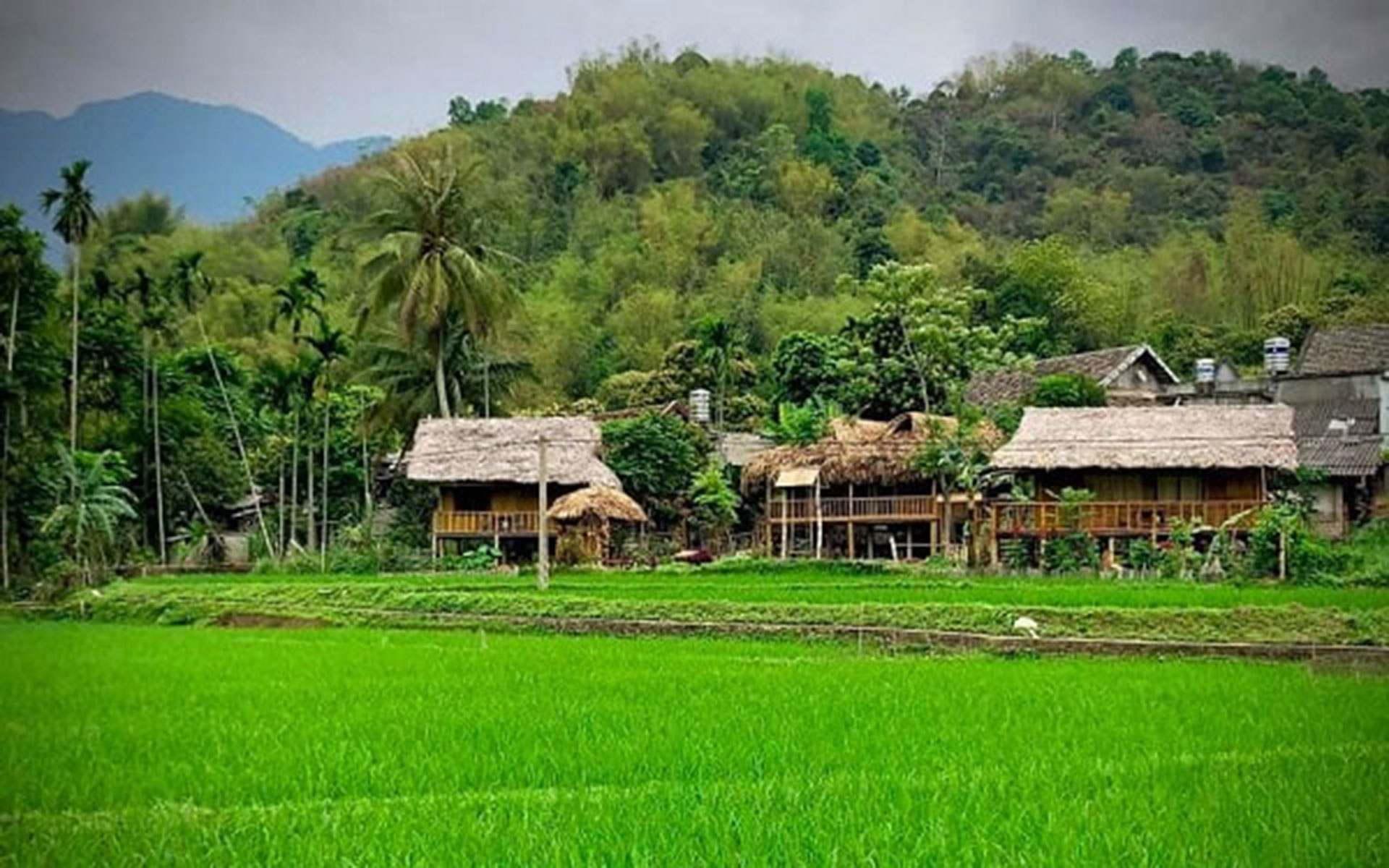 Mai Chau Countryside Homestay