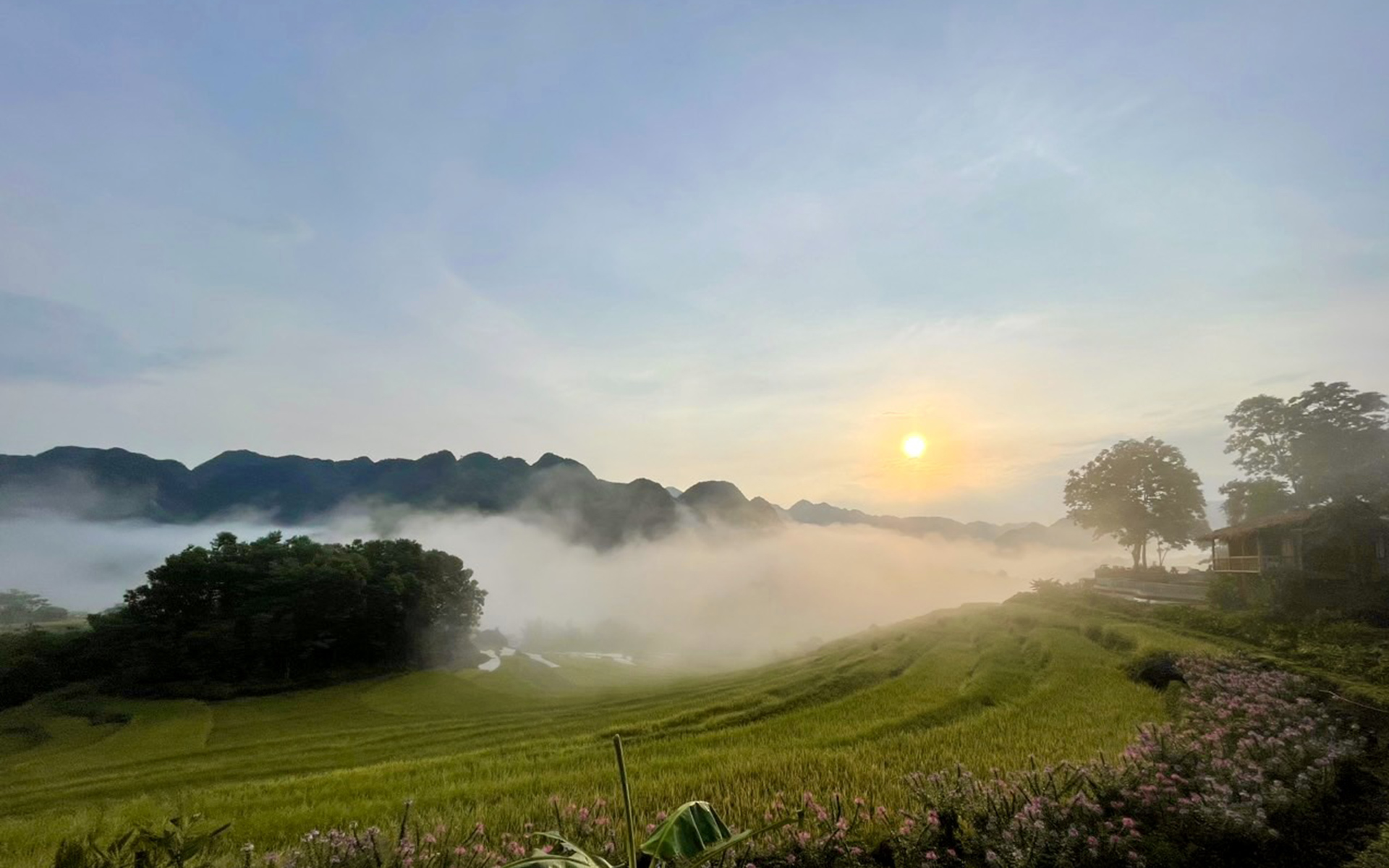 Terraced rice fields glowing under the golden sunlight in Pu Luong, Vietnam.