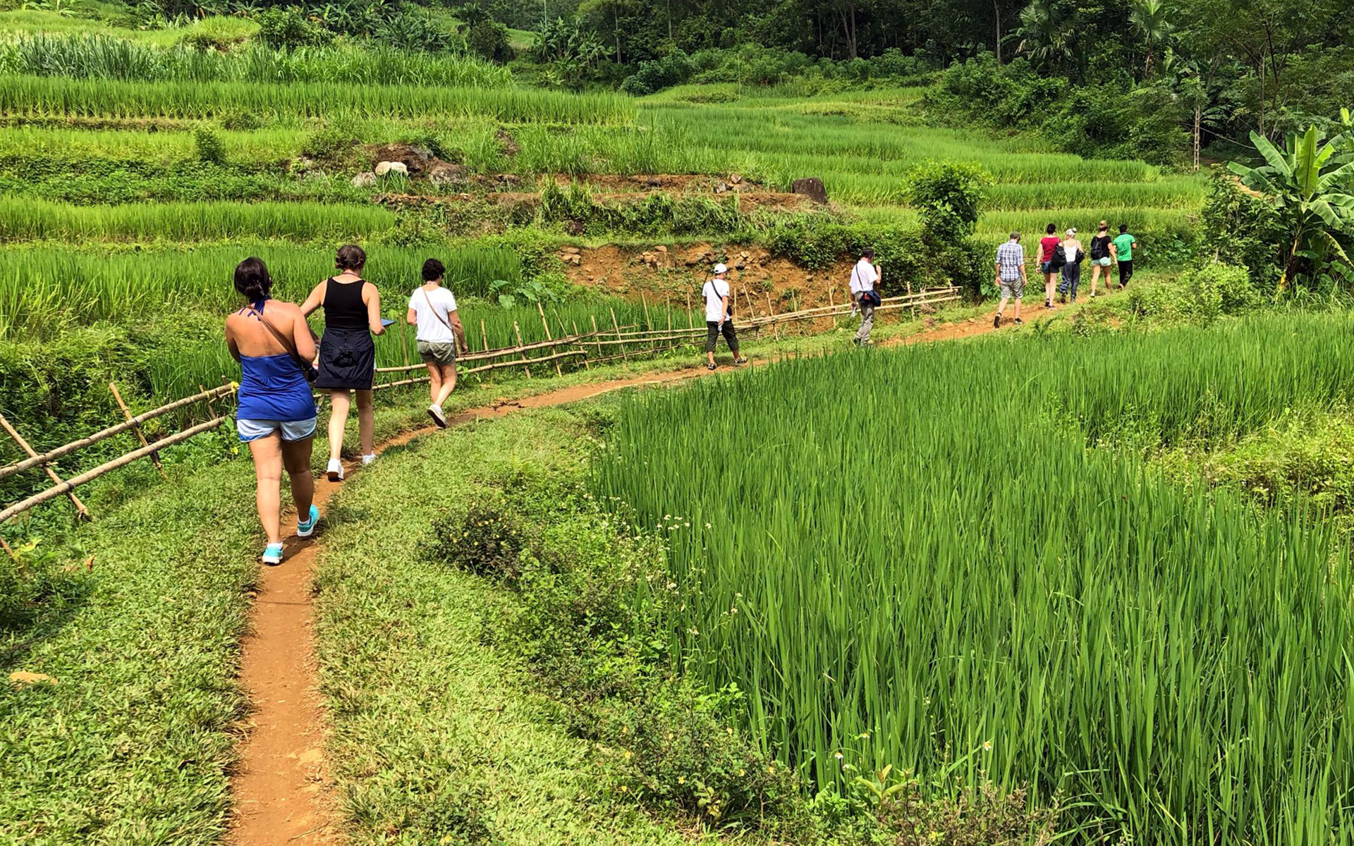 A trekking path surrounded by verdant landscapes in Pu Luong Nature Reserve